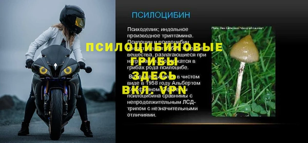мескалин Арсеньев