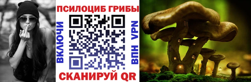 где найти   Сосновка  Галлюциногенные грибы GOLDEN TEACHER 